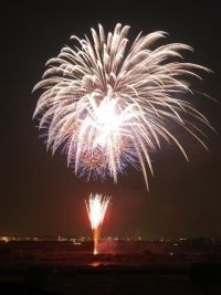 とりで利根川大花火の写真