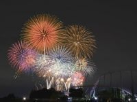 第54回あさか野夏まつり花火大会の写真