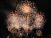 いわき花火大会の写真