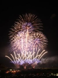 2025いなしき夏まつり花火大会の写真
