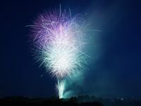 朝霞市民まつり「彩夏祭」の写真