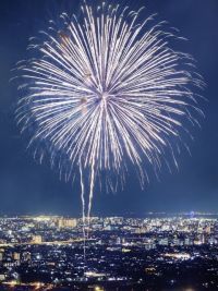 市川市民納涼花火大会の写真
