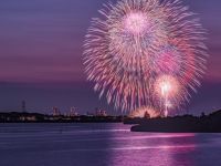 手賀沼花火大会2025の写真