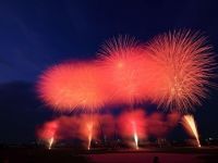 第50回江戸川区花火大会の写真
