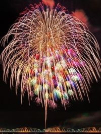 阿賀野川ござれや花火の写真
