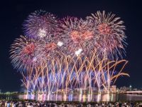 新潟まつり花火大会の写真