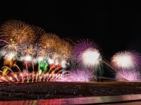 ぎおん柏崎まつり 海の大花火大会の写真