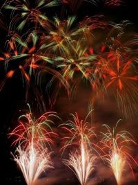 全国新作花火競技大会の写真