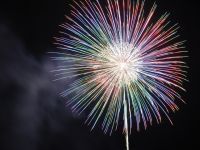 第31回中川どんちゃん祭りの写真