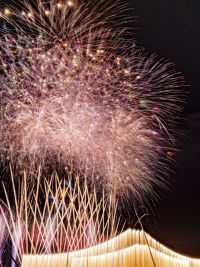 全国花火名人選抜競技大会 ふくろい遠州の花火2025の写真