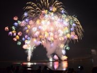 笠岡港まつり花火大会の写真