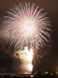 遠野納涼花火まつりの写真