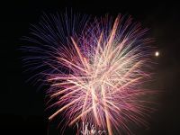 第43回朝霞市民まつり「彩夏祭」の写真