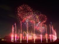 東京競馬場花火2026 SHOGO HAMADA 50th ANNIVERSARY FIREWORKS 2026の写真