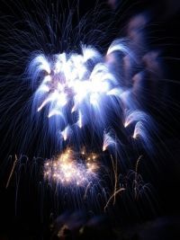 SUMMER FESTA MIHAMA 2026の写真
