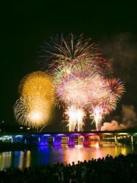 岡崎市制110周年記念事業 岡崎城下家康公夏まつり 第78回花火大会の写真