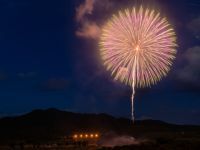 えちごせきかわ大したもん蛇まつり花火大会の写真