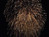 黒潮町の花火大会シーサイドギャラリー夏の写真