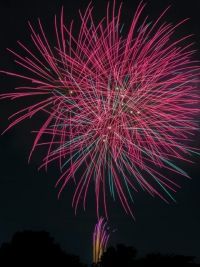 かまがやの花火の写真