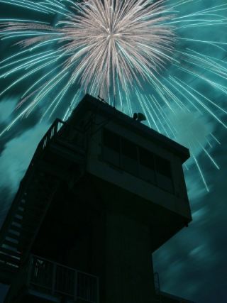第40回調布花写真２