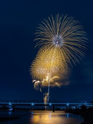 第40回調布花の写真３