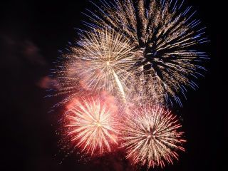 第31回中川どんちゃん祭りの写真３