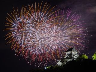 日本ライン夏まつりロングラン花火写真２
