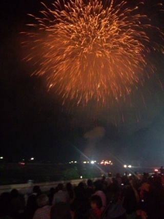 第42回美作ふるさと祭り花火大会写真２