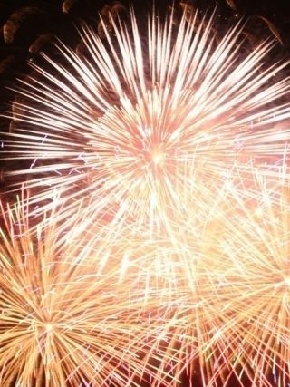 のおがた夏まつり2025写真２
