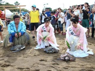 日和佐うみがめまつり写真１