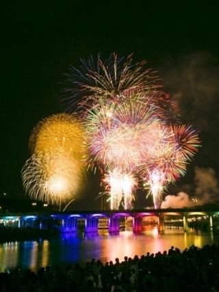岡崎市制110周年記念事業 岡崎城下家康公夏まつり 第78回花火大会写真１