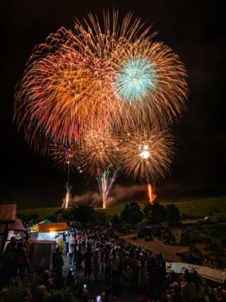 第48回秋吉台観光まつり 花火大会写真２