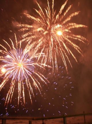 2026年 稲取温泉 花火演舞写真1