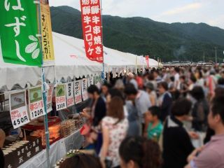 馬瀬川大花火の写真4