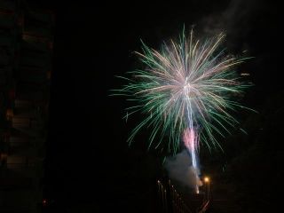 百華繚乱花火~鬼怒川焔火~の写真3