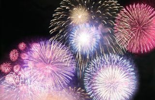 Mogu Mogu Festival 2026写真2