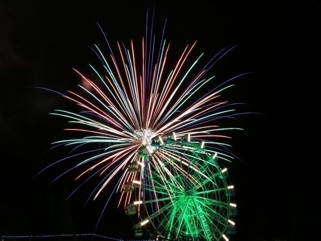 マザー牧場 サマーナイトファーム