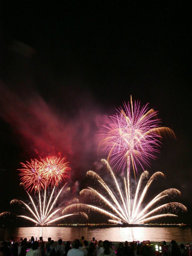 年中止 Enjoy りんくう りんくう花火 花火大会