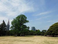新宿御苑