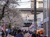 屋台も多く並んでいます