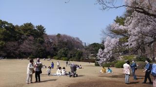 こども広場の様子