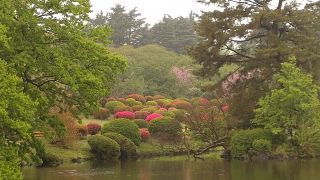 中ノ池から望むつつじ山