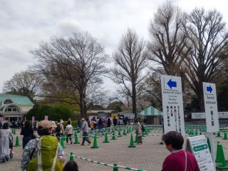 3月28日(金)新宿門付近、混雑しています