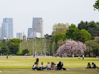 青々と茂る芝生の向こうに、存在感を放っています