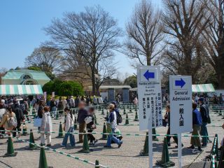 3月24日新宿門の様子