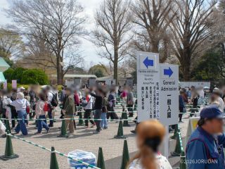 3月27日新宿門の様子