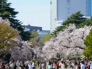 新宿門入場後の混雑模様