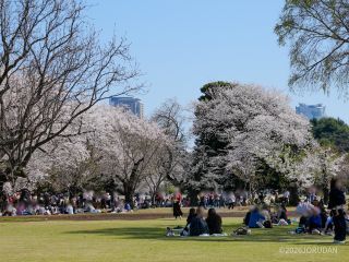 大木戸門側の広場の様子
