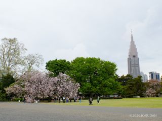 人間の背の何倍の高さ「福禄寿」