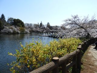 春の風景